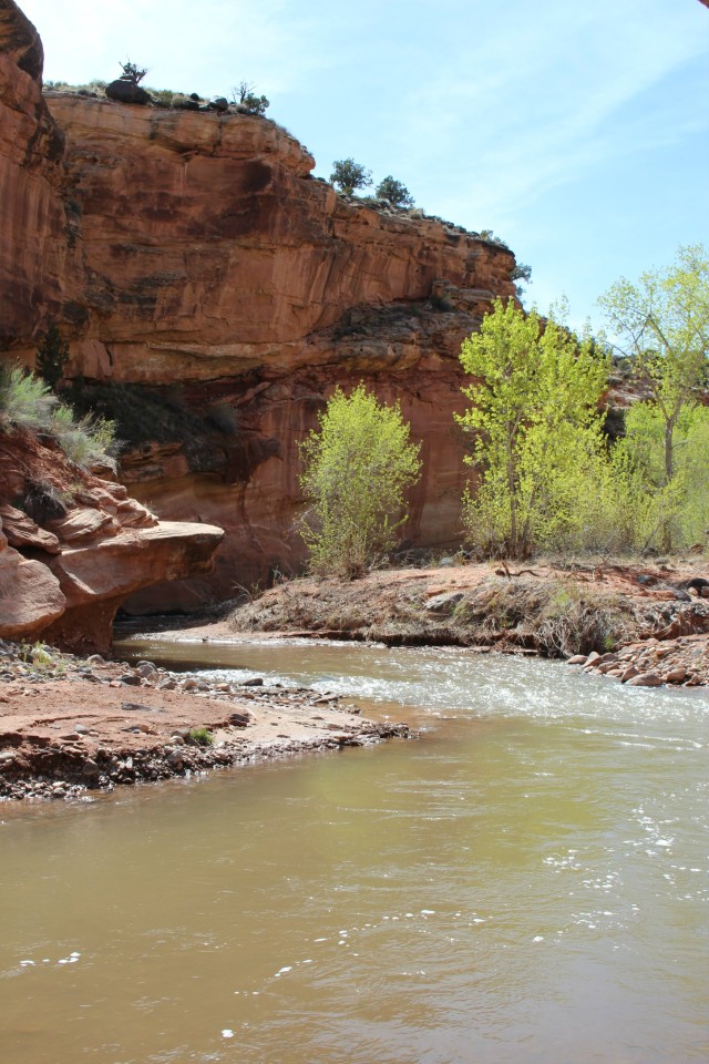 The Fremont River that runs through Capitol Reef